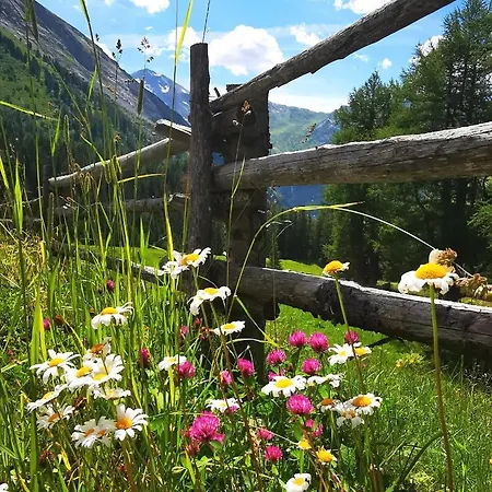 Berghaeusl Apartment Tux