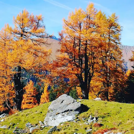 Apartment Berghaeusl *