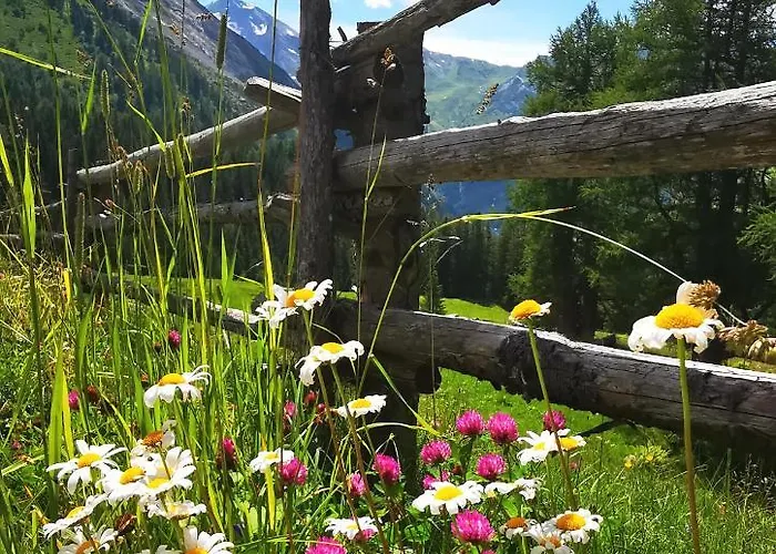Berghaeusl Lejlighed Tux