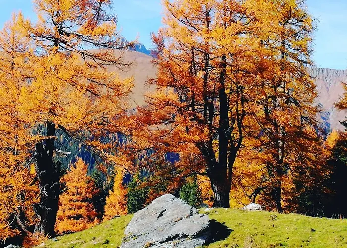 Apartmán Berghaeusl *